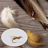 Mallard Duck / Dyed lemon wood duck side feathers ¼ oz.