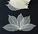 ChangThai Design Skeleton Leaves 3½