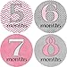 Girly Gray Monthly Baby Bodysuit Stickers