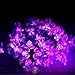 FAMILOVE Christmas Trees Halloween Day Blossom Flower Solar Powered 23ft 50 LED Waterproof Fairy Lighting for Garden Patio Wedding Party and Holiday Decorations(Purple)