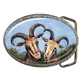 Limited Edition Violano Belt Buckle Goat Wedding