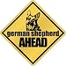 New  German Shepherd Bites Ahead !  Crossing Dog