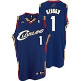 Daniel Gibson Cleveland Cavaliers Navy Swingman Adidas NBA Jersey - Large