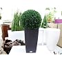 Lechuza Cubico Cottage 30 Komplettset granit von Lechuza