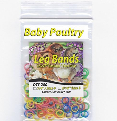 100 to 500 Baby Poultry Leg Bands 1/4" Medium Chick (200)
