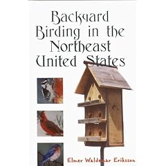 Backyard Birding in the Northeast United States