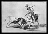 Francisco de Goya y Lucientes (Follow the 