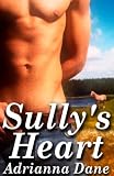 Sully's Heart