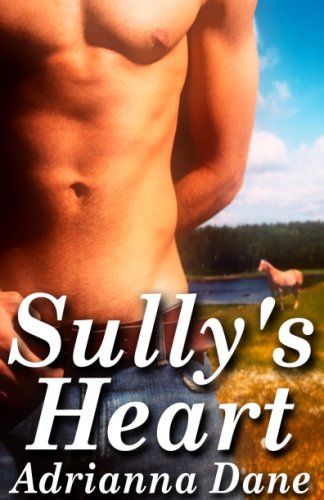 Sully's Heart