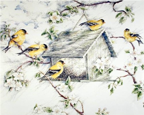 Gold Finches Feeder in Snow Wild Birds Wall Decor Art Print Poster (8x10)