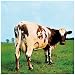 Atom Heart Mother