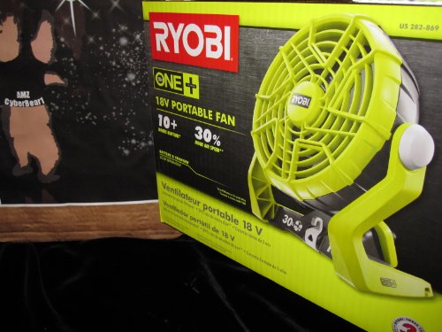 Ryobi Fan 10