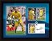 Spurs Paul Robinson 8x6 Framed Mini Player Profile Print, Tottenham Hotspur FC