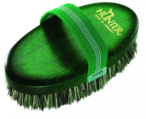 Hundebürste oval Pflanzenfaser Buche grün