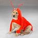 Casual Canine Lobster Paws Sea Crustacean Funny Cute Halloween Dog Costume Medium