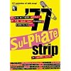 77 Sulphate Strip: An Eyewitness Account of the Year That Changed Everything