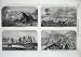 1857 Livingstone Missionary Africa Lion Hopo Animals