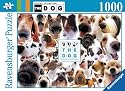 Ravensburger The Dog 1000 piece jigsaw puzzle