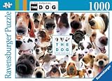 Review Ravensburger  / Ravensburger The Dog 1000 piece jigsaw puzzle