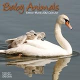 Baby Animals 2012 Wall Calendar #30125-12