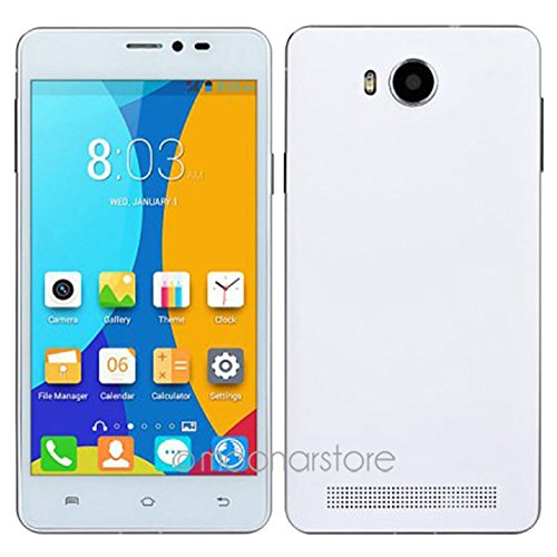 JIAKE G910 5.0 Inch MTK6572 Android 4.2.2 ROM 512M RAM 256M 0.3+0.3MP Dual Camera 1.2G Dual Core Smartphone (JIAKE V10-White)