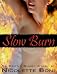 Slow Burn (An Erotic Short Story)
