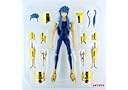 Galactic Nebula Ex Myth Cloth Aquarius Camus Saint Seiya figure + Hyoga head