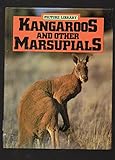 Kangaroos and other marsupials