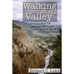 Walking Through the Valley - Dealing with the Prospects of Death with Bulbar A.L.S. (Lou Gehrig's Disease) book cover
