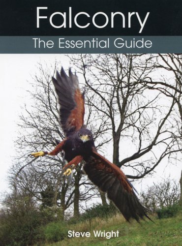 Falconry: The Essential Guide