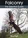 Falconry: The Essential Guide