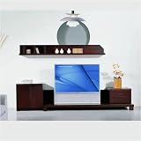 Designer Plasma TV Stand/platform