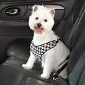 Harness Houndstooth Car Safety Seat Belt Small/Medium