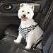 Automotive : LARGE - BLACK - Houndstooth Car Harness