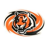 Cincinnati Bengals Large Sports Magnet (Measures 11