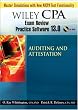 Wiley CPA Examination Review Practice Software 13.0 Audit