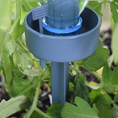 Automatic Adjustable Flow Rate Drip Watering Spikes for Plants Water