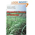 Plantation Slavery in Barbados: An Archaeological and Historical Investigation