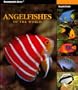 Angelfishes of the World (Oceanographic Series) (Oceanographic Seies)