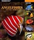 Angelfishes of the World (Oceanographic Series) (Oceanographic Seies)