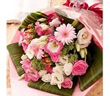 �y�N�[���֔z���i�����T�[�r�X�j�z�����z�B���ԉ�����@���킢�炵���s���N�̉ԑ��I�y���������z�s�[�`�i �g���R�L�L���E�ԑ��j[���������E�����z�B]�@ �a�����E�L�O���E���j���E�����j���E���������E�����}��E�����j������̉Ԃ̔z�B��