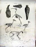 1832 PLAN OF LONDON ACTUAL SURVEY FAMOUS BUILDINGS 1832
