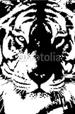 IMAGE OF Wallmonkeys Peel and Stick Wall Decals - Tigre - 72