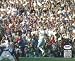 Jay Novacek Autographed/Hand Signed Dallas Cowboys 8x10 Photo vs. Buf PSA/DNA