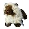 Webkinz Himalayan Cat with Trading Cards