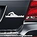 Swimmer Car Magnet Chrome