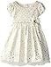 Youngland Little Girls' Metallic Dot Occasion Dress