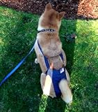 Joybies Patriotic Denim Piddle Pants(tm) for XXX Large Female Dog (Measuring 30-32 from Collar to Base of Tail)