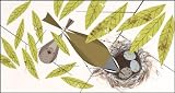 Charley Harper Lithograph Vigilant Vireos