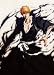 BLEACH [2012�N ����ް]